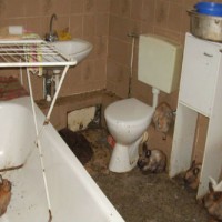 security deposit