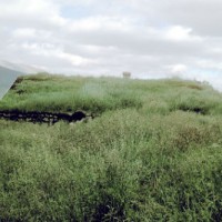 Grass_covered_house_in_Iceland_1972