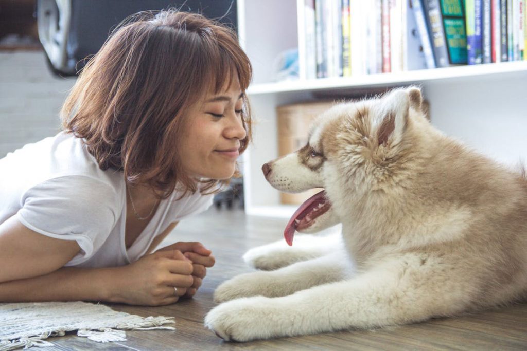 A Guide to Giving Your Dog Exercise in Your Apartment