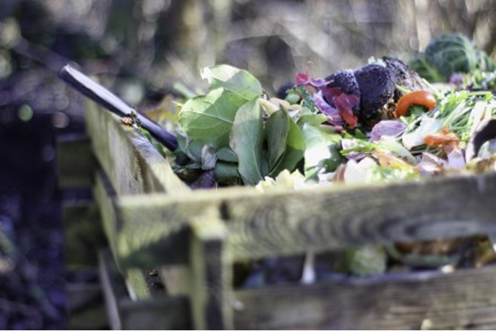 How to Compost In Your Apartment