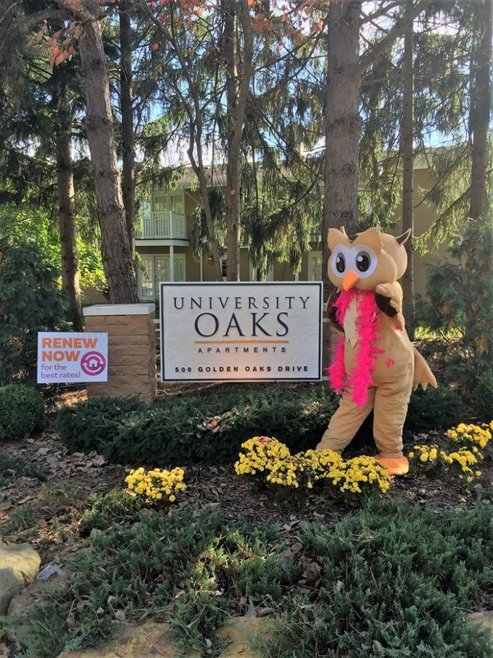 Oaks Apartments Kent Ohio Reviews oaks at kent apartments in kent ohio Oaks Apartments Kent Ohio Reviews oaks at kent apartments in kent ohio