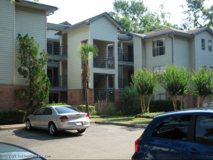 Pet Friendly Apartments In Tallahassee Near Fsu Pet Friendly Apartments In Tallahassee Near Fsu