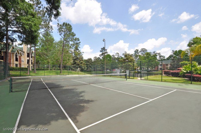 Collier Properties Gainesville Fl Collier Properties Gainesville Fl