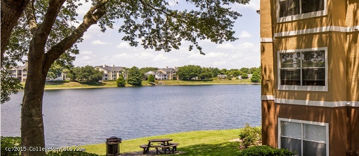 Apartments For Rent In Orlando Fl For College Students Apartments For Rent In Orlando Fl For College Students