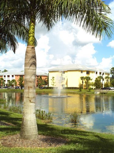 Furnished Apartments Fort Myers Furnished Apartments Fort Myers