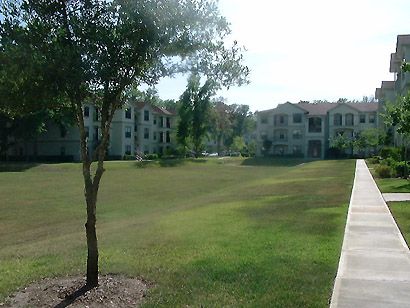 Bellamay Grand apartments in Gainesville, Florida Bellamay Grand apartments in Gainesville, Florida