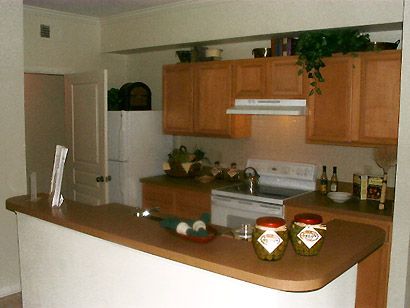 Bellamay Grand apartments in Gainesville, Florida Bellamay Grand apartments in Gainesville, Florida