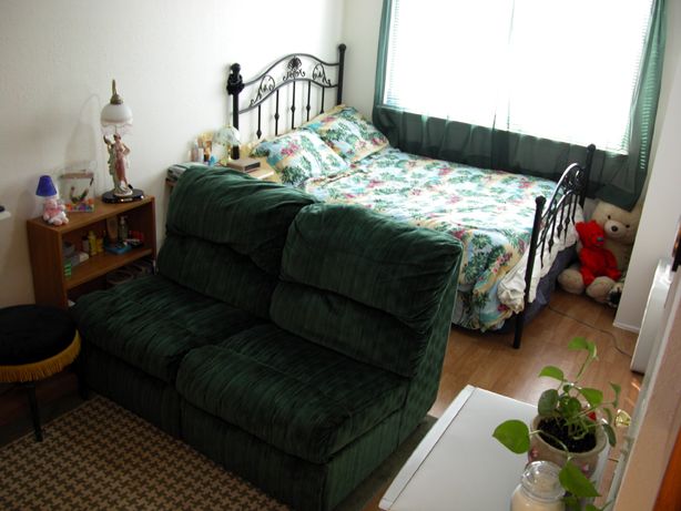 Mankato single apartments