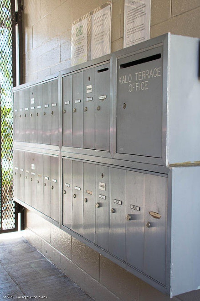 Kalo Terrace Apartments In Honolulu Hawaii