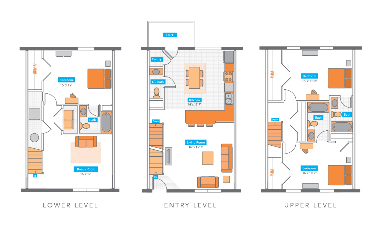Copper Beech Floor Plans | copper beech townhomes harrisonburg apartments in harrisonburg virginia Copper Beech Floor Plans | copper beech townhomes harrisonburg apartments in harrisonburg virginia