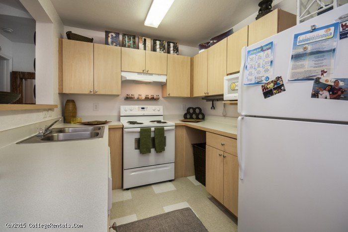 Cabana Beach Apartments In Gainesville Florida Cabana Beach Apartments In Gainesville Florida